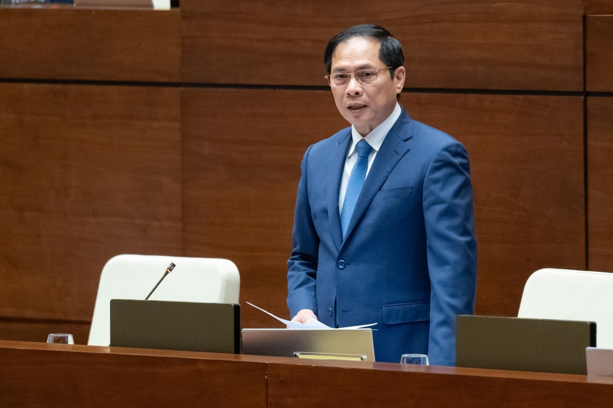 Chất vấn Bộ trưởng Ngoại giao Bùi Thanh Sơn về bảo hộ công dân